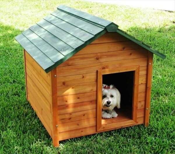 Dog crate outlet made from pallets