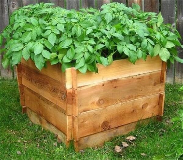 How to Build a Potato Crate Out of Pallets
