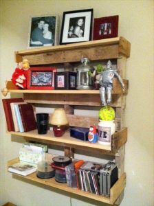 DIY Pallet Bookshelf