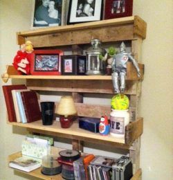 DIY Pallet Book Shelf