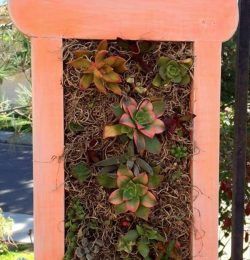 recycled pallet vertical garden