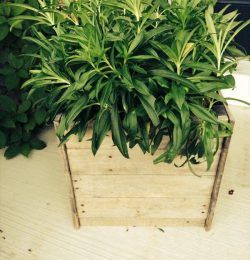 upcycled pallet planter