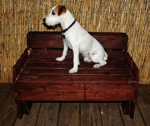 Diy Pallet Wood Dog Bed