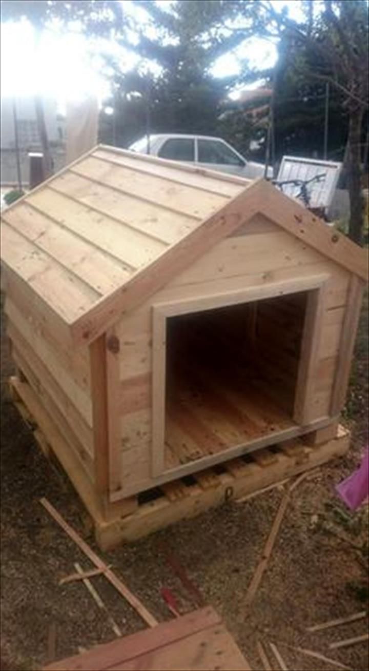 pallet dog house