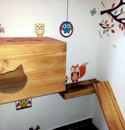 Cute pallet cat play station,
