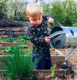 Learn The Gardening With These Useful Tips