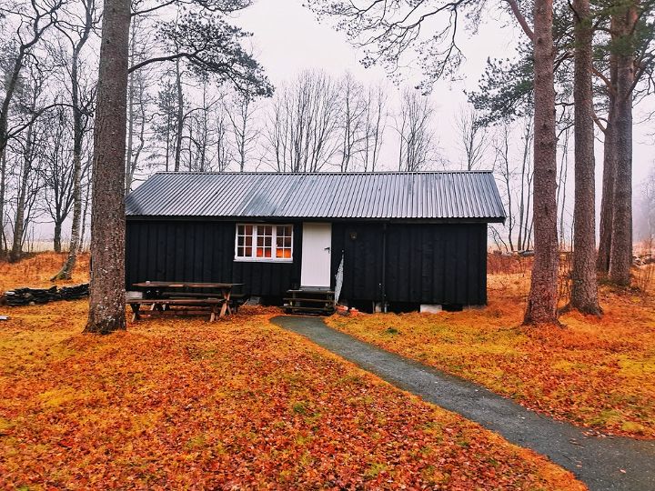 A dark shed with a white door and shingled roofing