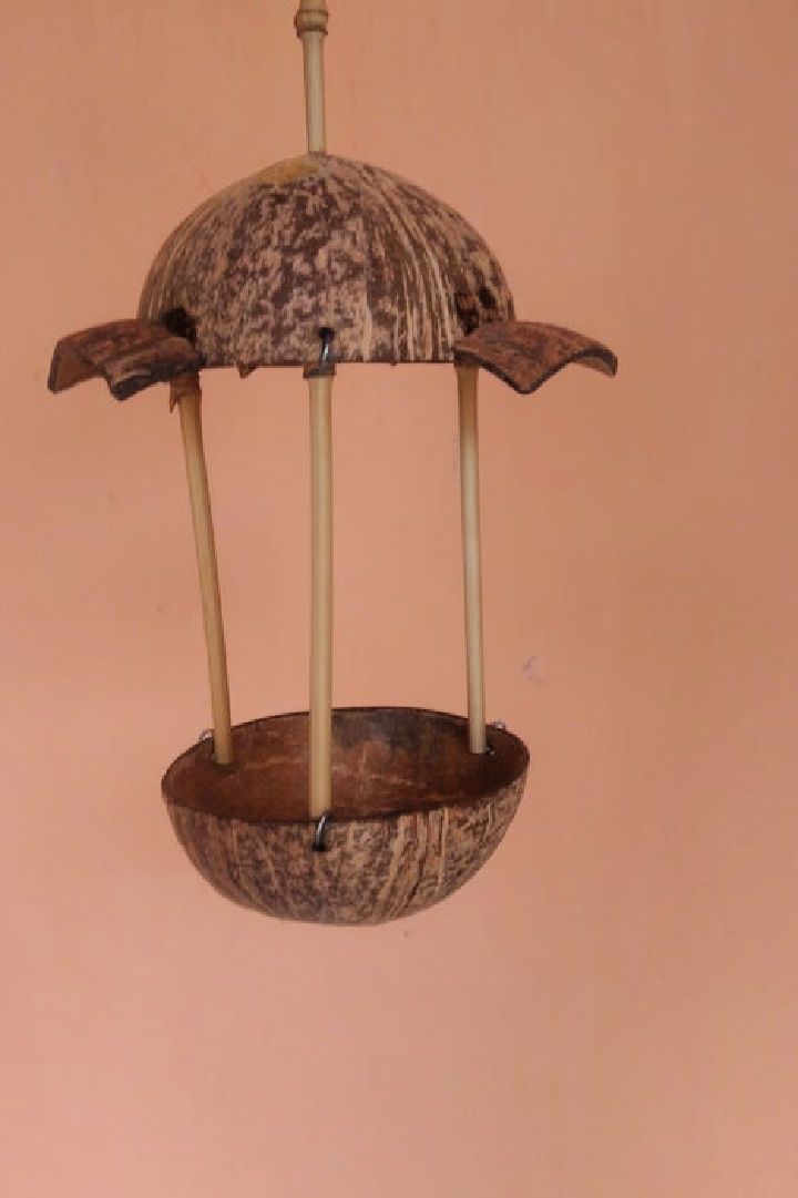 Bird Feeder From Trashed Coconut Shell