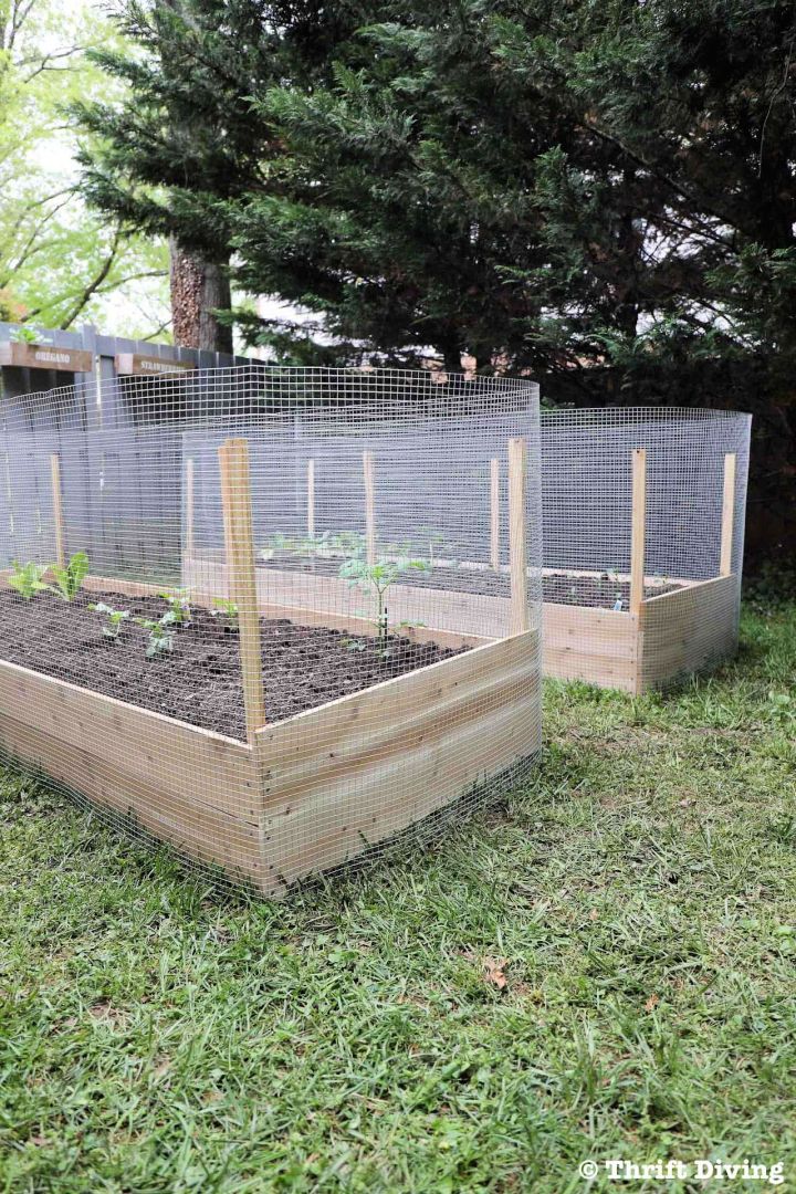 DIY Metal Fence Raise Garden Bed
