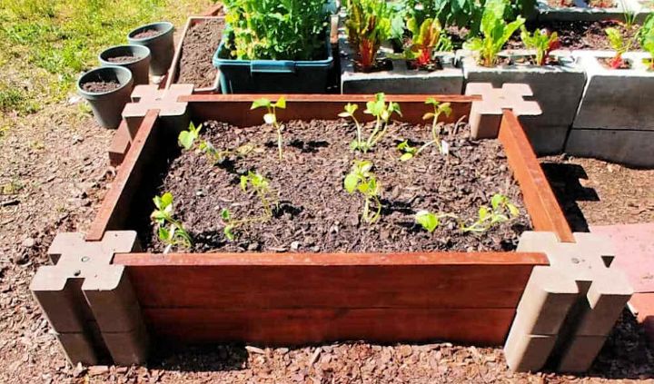 Raised Vegetable Garden Bed