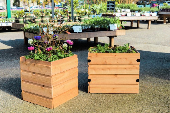 Planter Box For Small Spaces