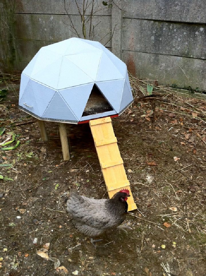 DIY Geodesic Dome Chicken House