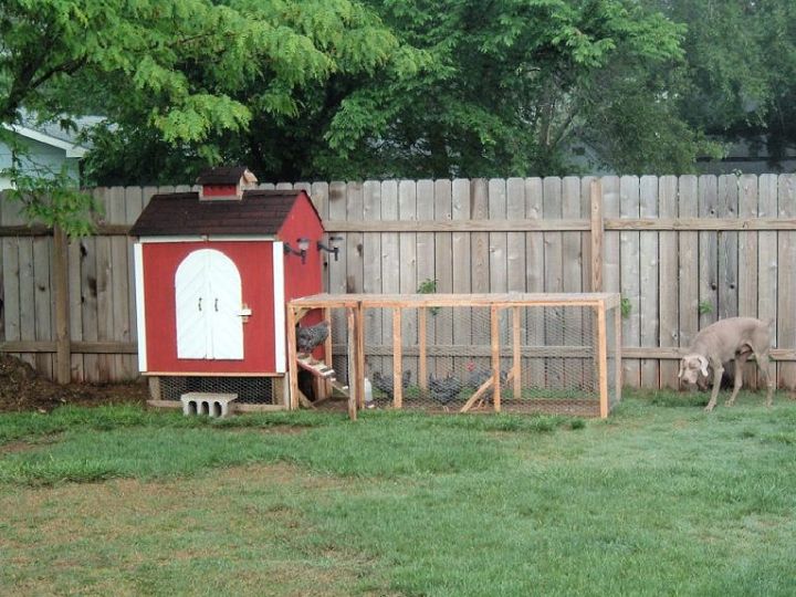 27 Free DIY Chicken Coop Plans That Beginners Can Build