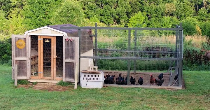 How To Convert a Shed Into a Chicken Coop