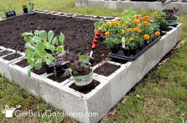 Cinder Block Raised Garden Bed 