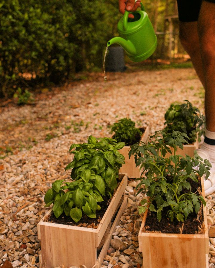 DIY Miniature Raised Beds 