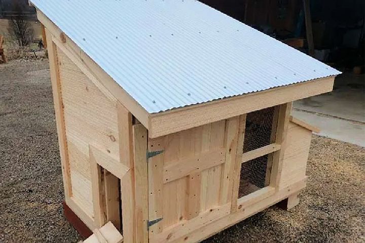 DIY Small Flock Chicken Coop