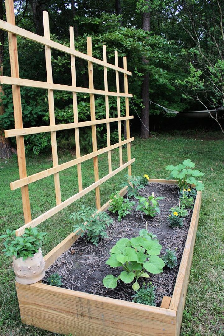 How To Build a Raised Garden Bed