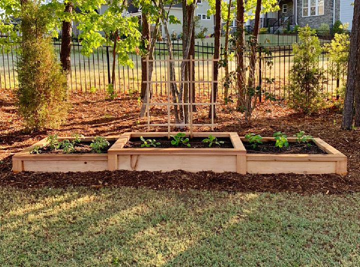 Raised Garden Bed With a Drip Irrigated System