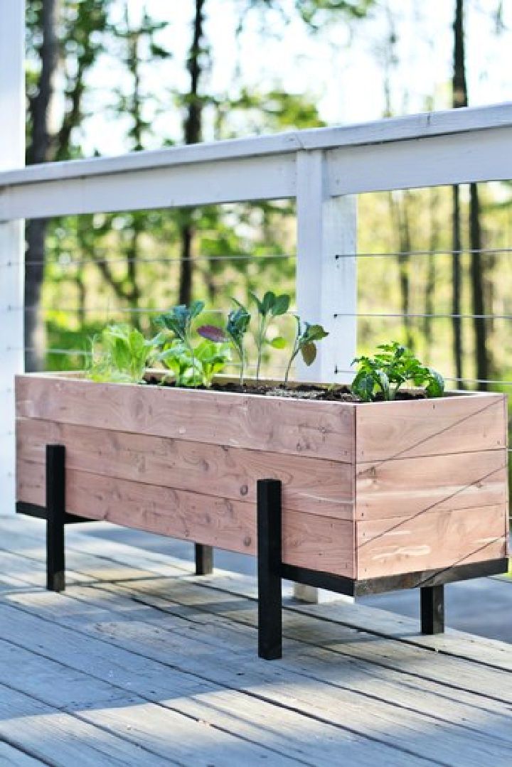 Salad Garden Bed DIY 