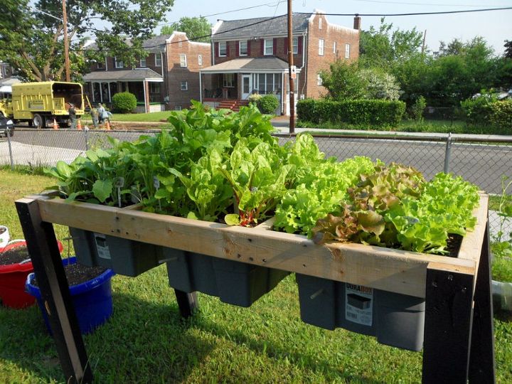 Self Watering Raised Veggie Table