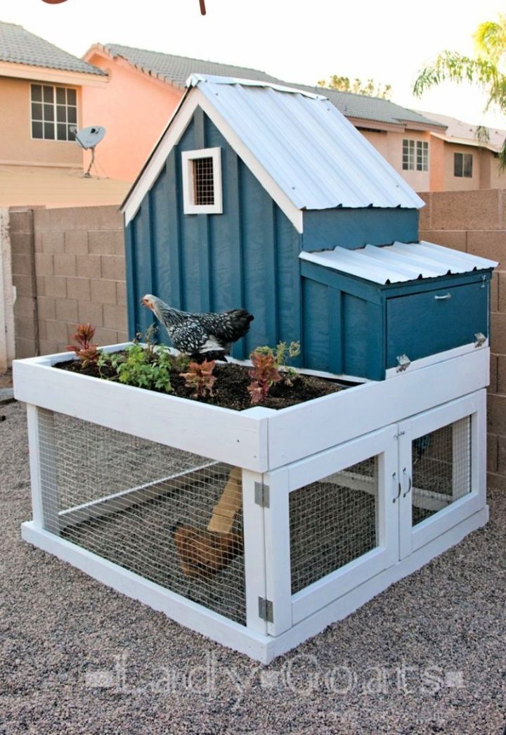 Small Chicken Coop With Planter 