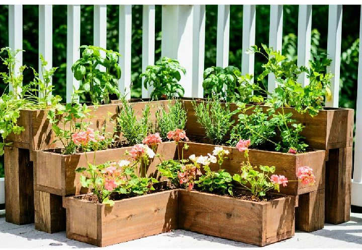 DIY Tiered Herb Garden Bed