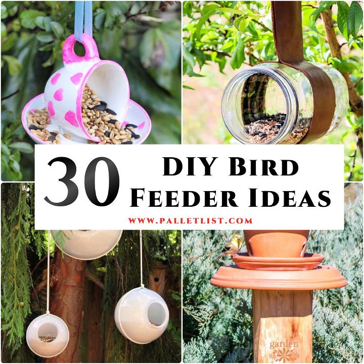 30 Homemade DIY Bird Feeder Ideas with Free Plans