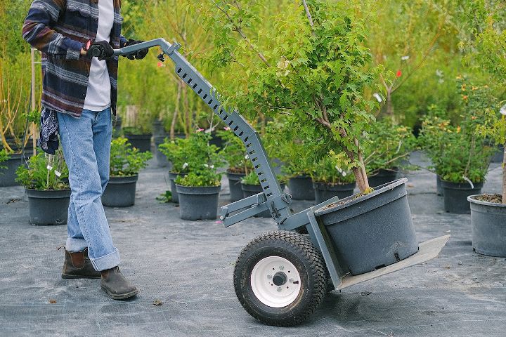 7 Tips And Tricks To Help You Build A Cheap But Beautiful Orchard